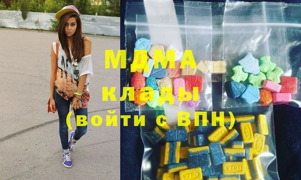 шишки Гусев