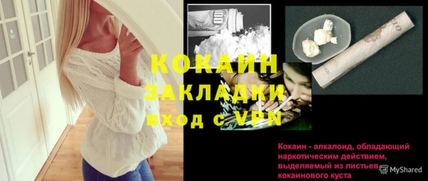 шишки Гусь-Хрустальный