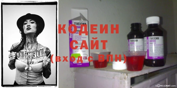 шишки Гусев