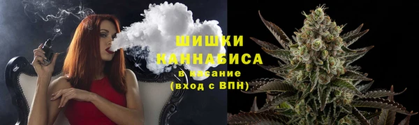 шишки Гусев