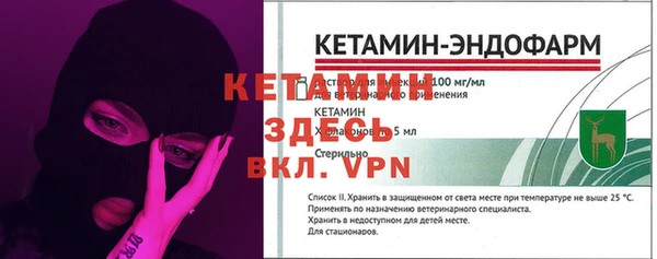 шишки Гусь-Хрустальный