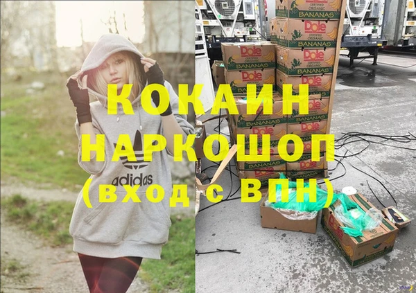 шишки Гусев