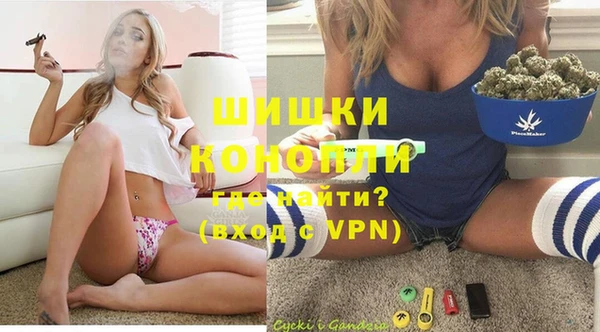 шишки Гусев