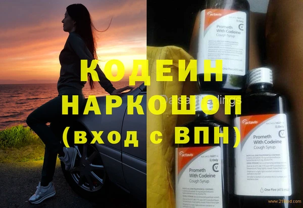 шишки Гусев