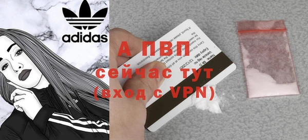 ГАЛЛЮЦИНОГЕННЫЕ ГРИБЫ Гусиноозёрск