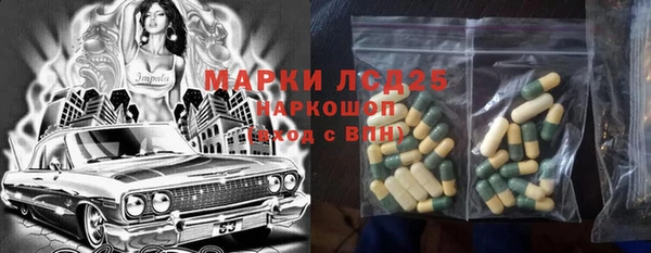 шишки Гусь-Хрустальный