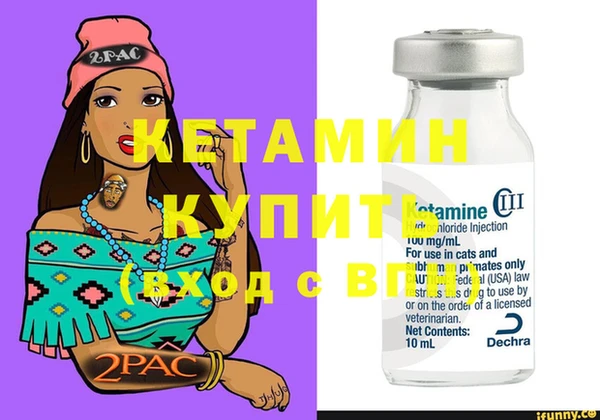 шишки Гусев