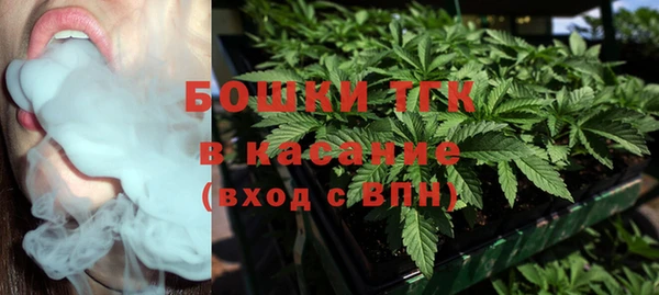 ГАЛЛЮЦИНОГЕННЫЕ ГРИБЫ Гусиноозёрск