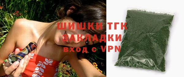 шишки Гусев