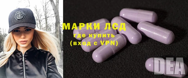шишки Гусев